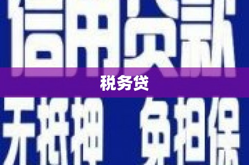 凤岗税务贷