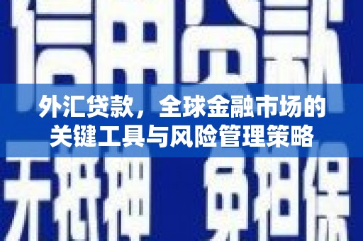 凤岗外汇贷款，全球金融市场的关键工具与风险管理策略