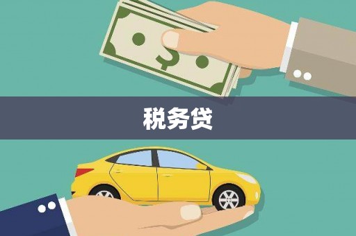 凤岗税务贷
