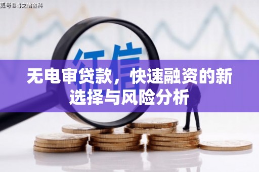 凤岗无电审贷款，快速融资的新选择与风险分析