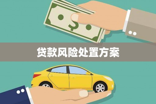 凤岗贷款风险处置方案