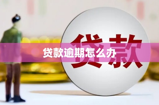 凤岗贷款逾期怎么办