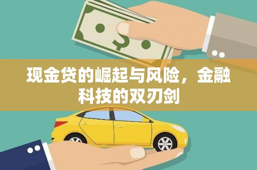凤岗现金贷的崛起与风险，金融科技的双刃剑
