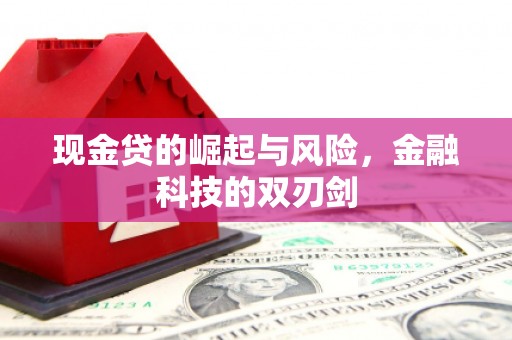 凤岗现金贷的崛起与风险，金融科技的双刃剑