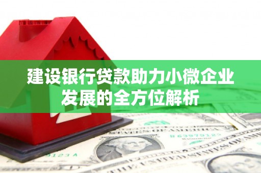 凤岗建设银行贷款助力小微企业发展的全方位解析