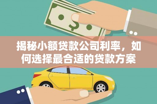 凤岗揭秘小额贷款公司利率，如何选择最合适的贷款方案