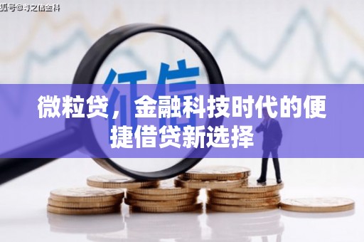 凤岗微粒贷，金融科技时代的便捷借贷新选择