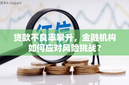 凤岗贷款不良率攀升，金融机构如何应对风险挑战？