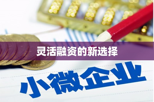 凤岗灵活融资的新选择