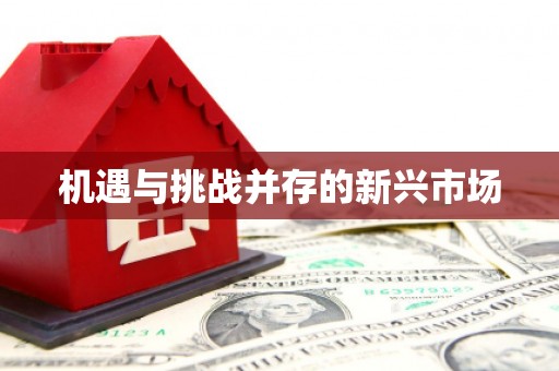 凤岗机遇与挑战并存的新兴市场
