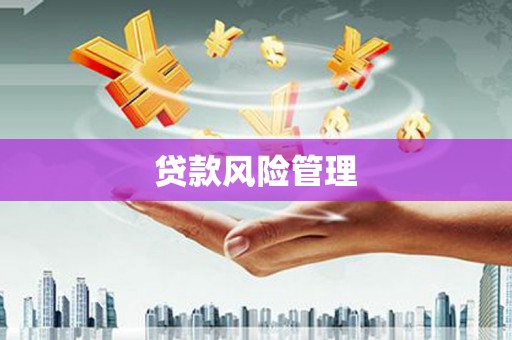凤岗贷款风险管理